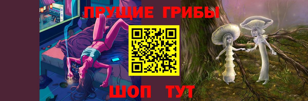 Псилоцибиновые грибы Cubensis  Вход с VPN  Димитровград  Галлюциногенные грибы Psilocybine cubensis 